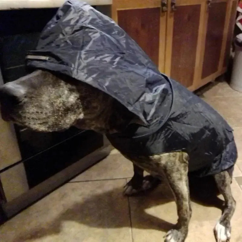 WeatherGuard Pet Raincoat