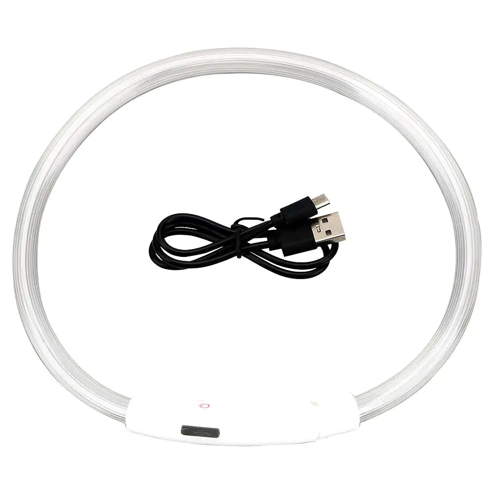 GlowSafe LED Dog Collars