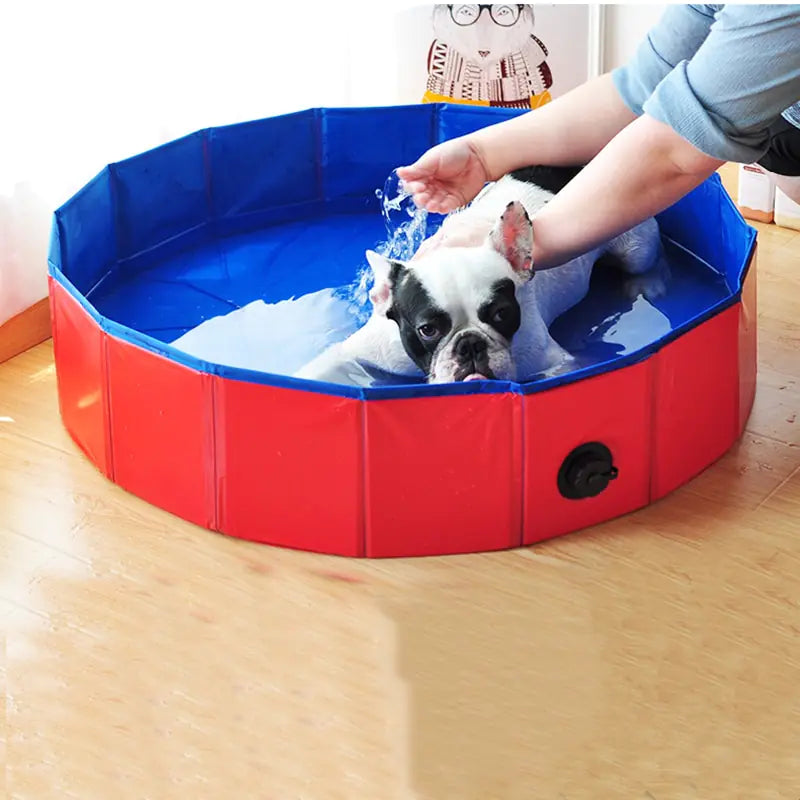 Portable Pet Pool: Foldable & Durable