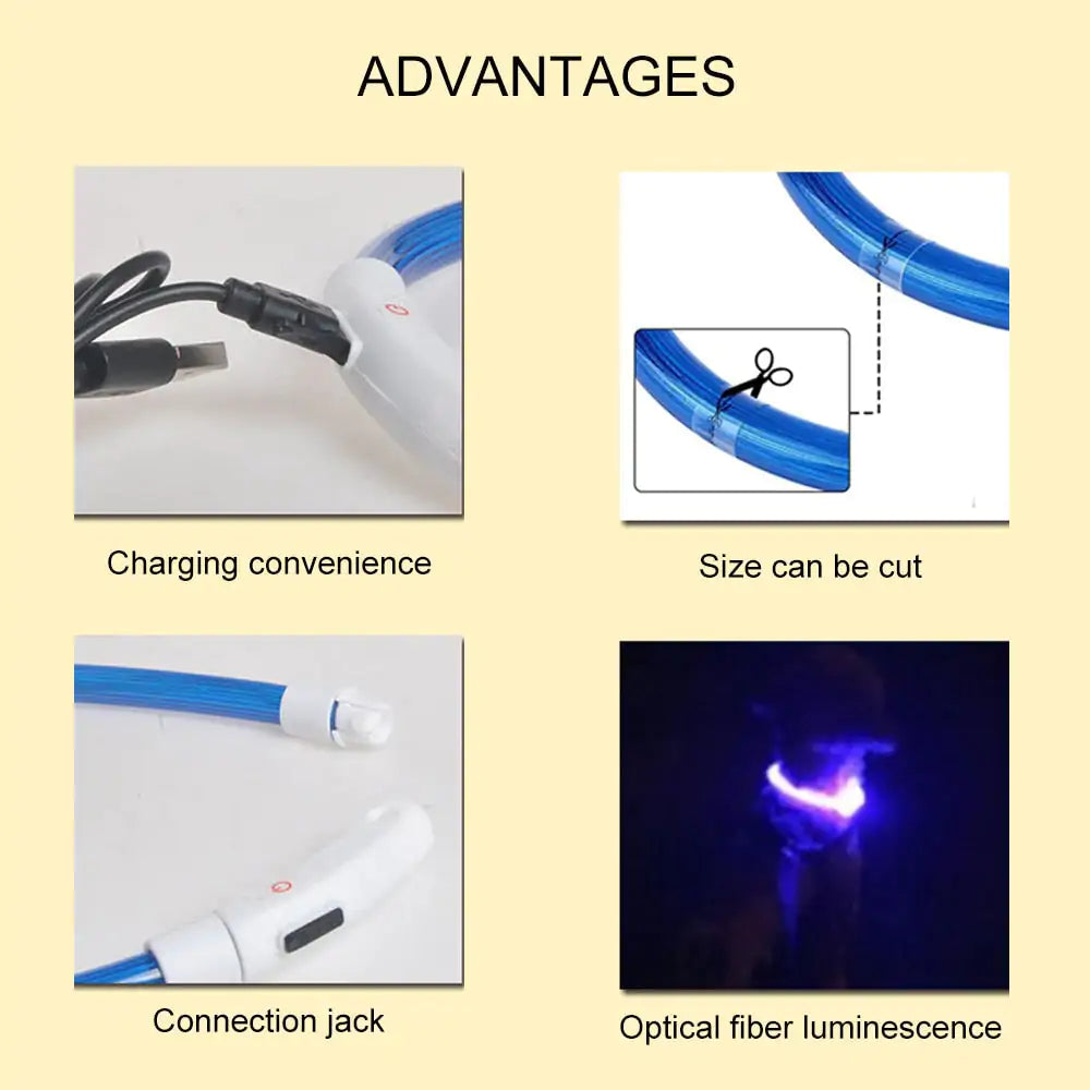 GlowSafe LED Dog Collars