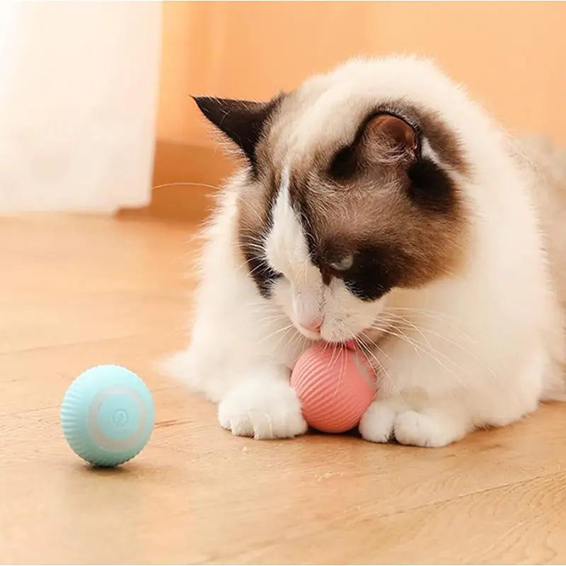 Pounce 'n Play Smart Ball