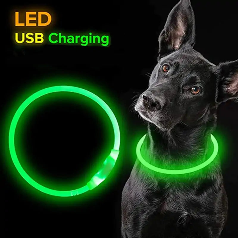 GlowSafe LED Dog Collars