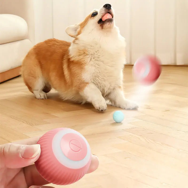 Pounce 'n Play Smart Ball