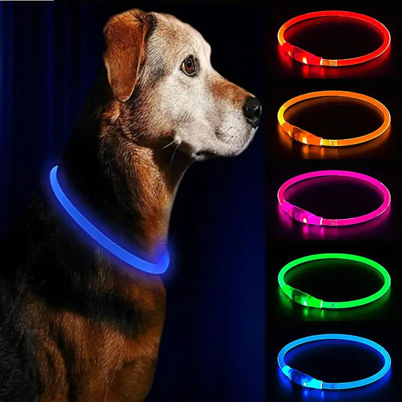 GlowSafe LED Dog Collars