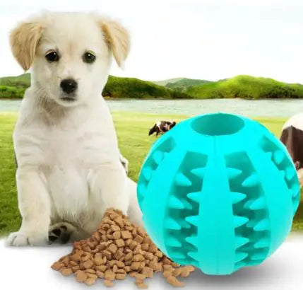 Playful Pup Ball