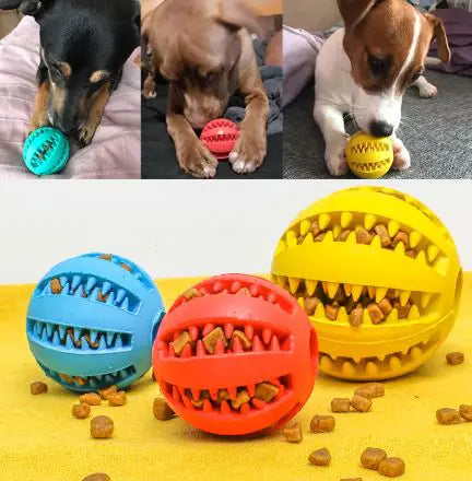 Playful Pup Ball