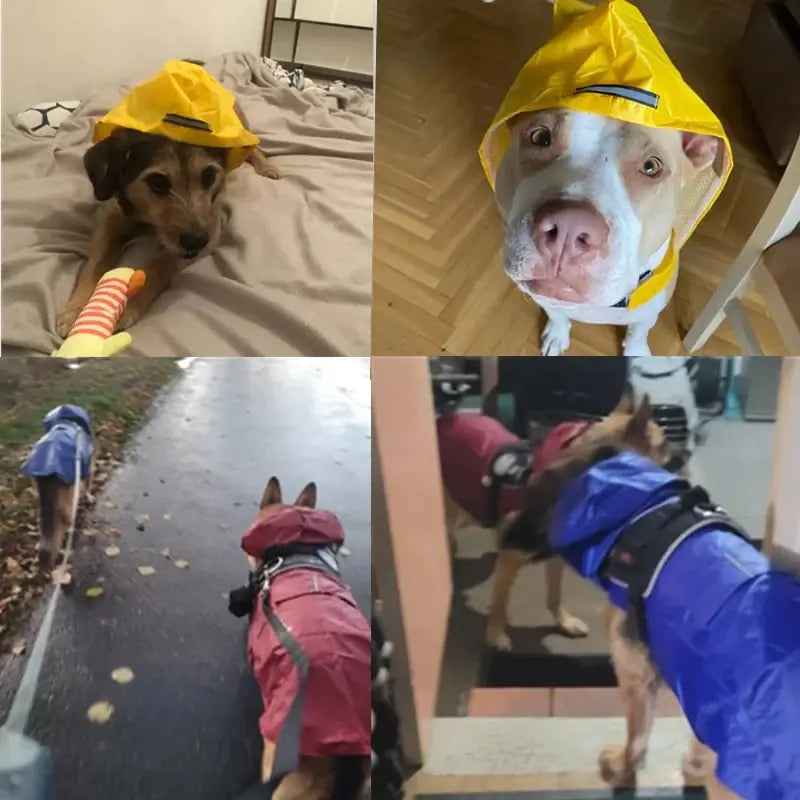 WeatherGuard Pet Raincoat