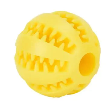 Playful Pup Ball