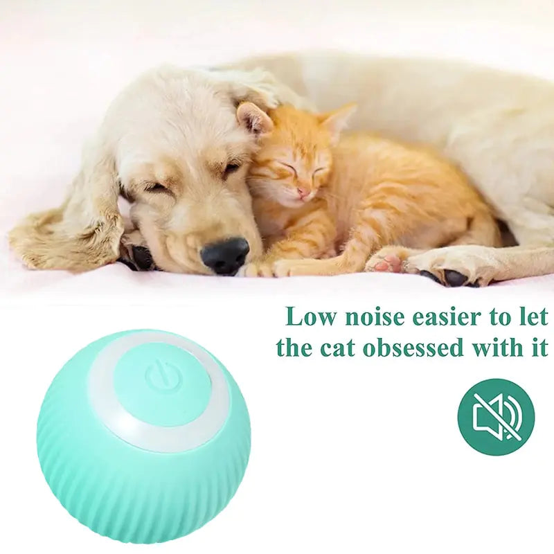 Pounce 'n Play Smart Ball